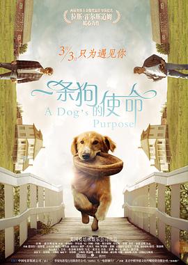 吕总和张的视频